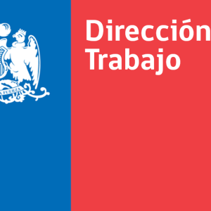Entendiendo las Multas Laborales: criterios y consecuencias